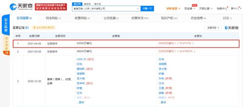 關(guān)聯(lián)公司注冊資本大幅提升至9.3億美元，增幅超75.47%，聚焦技術(shù)咨詢與技術(shù)服務(wù)領(lǐng)域