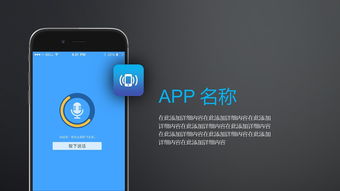 引領未來 互聯(lián)網(wǎng)科技App項目提案融資路演與咨詢服務